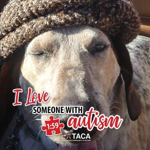 Meet your Posher, Annabell